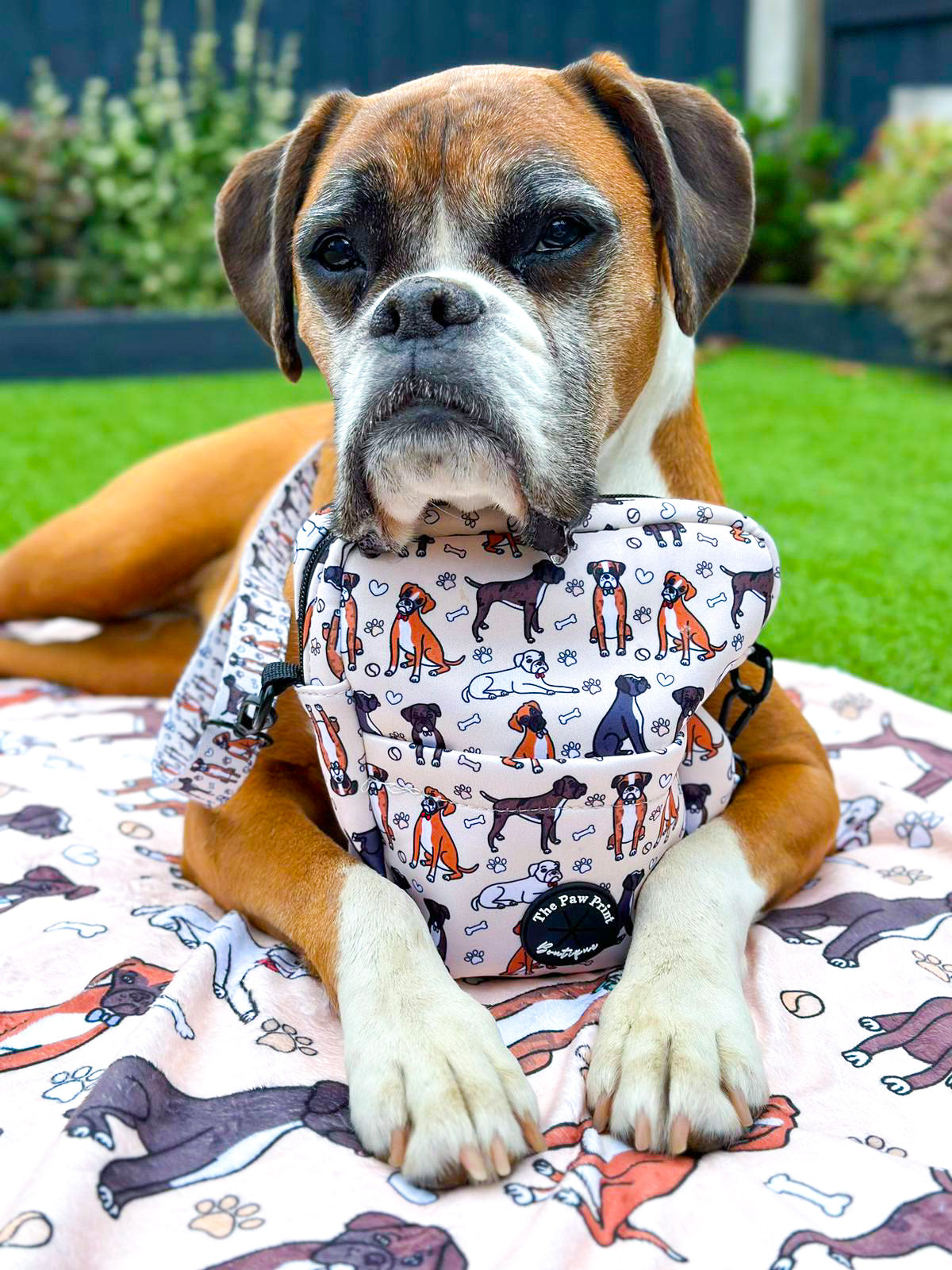 The Boxer Dog Walking Bag