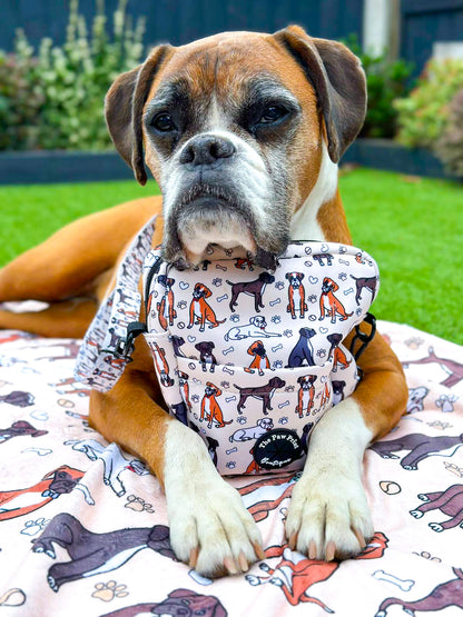 The Boxer Dog Blanket - Beige