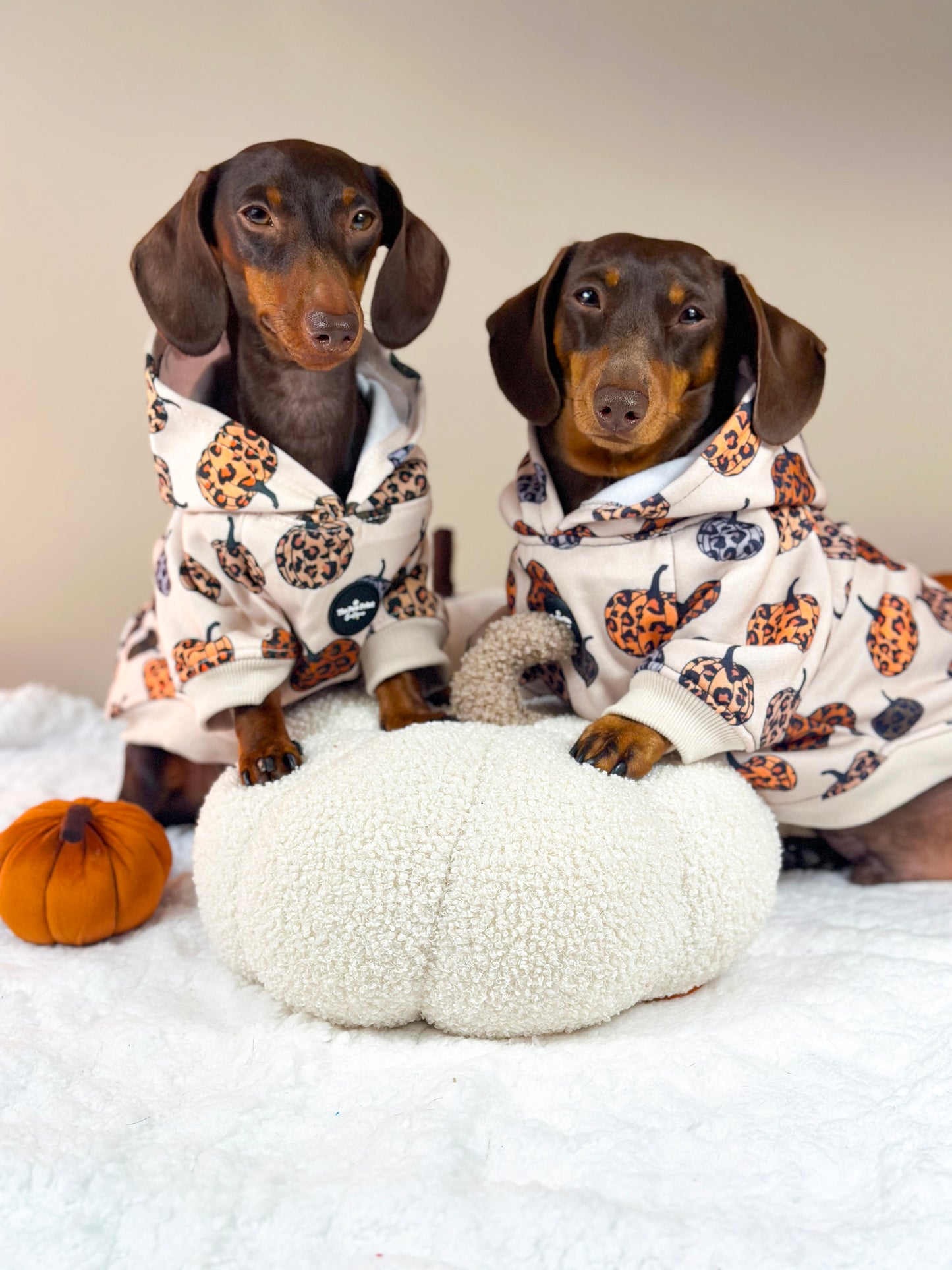 Leopawrd Pupkins Hoodie (All over Pumpkins)