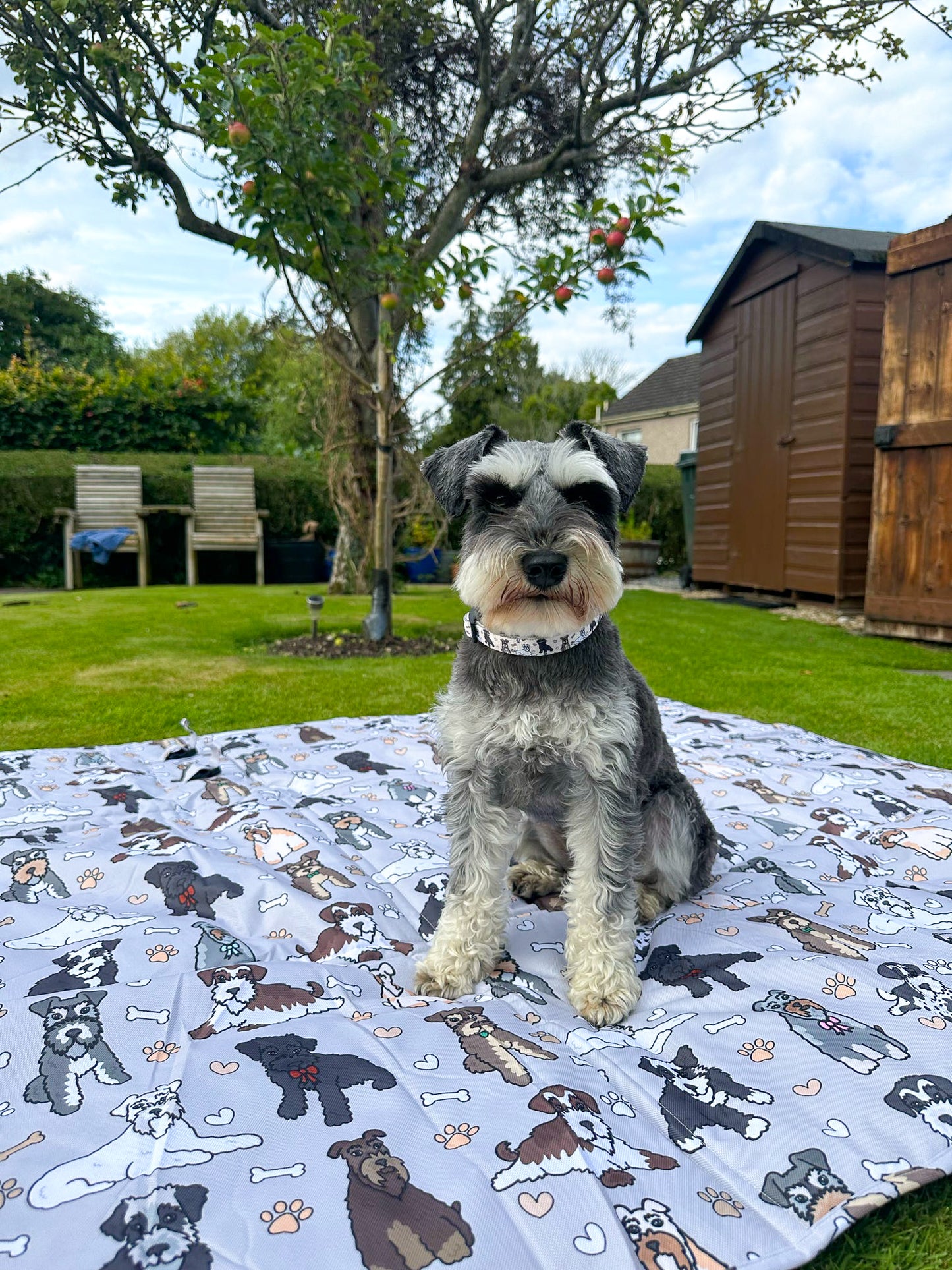 The Schnauzer Picnic Mat