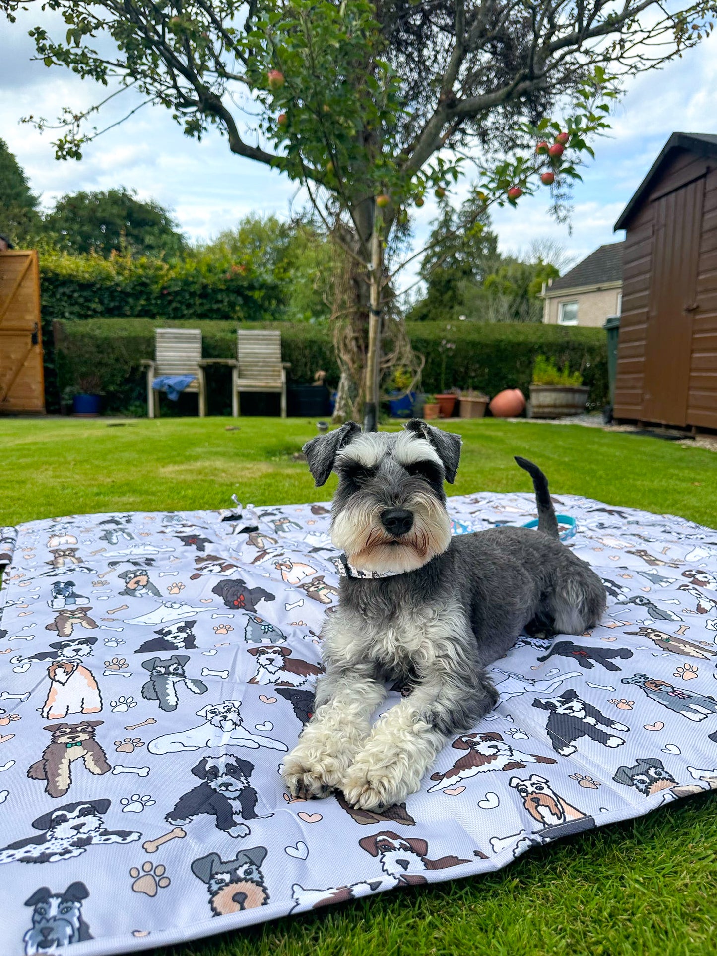 The Schnauzer Picnic Mat