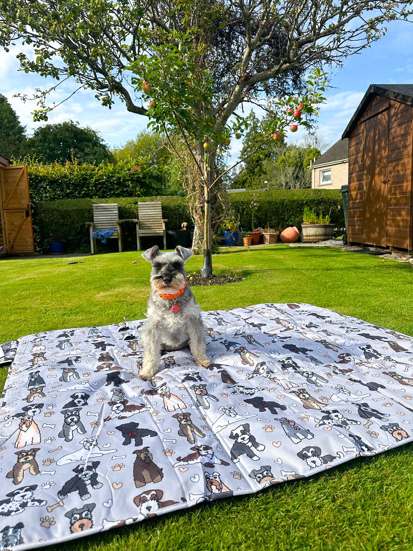 The Schnauzer Picnic Mat