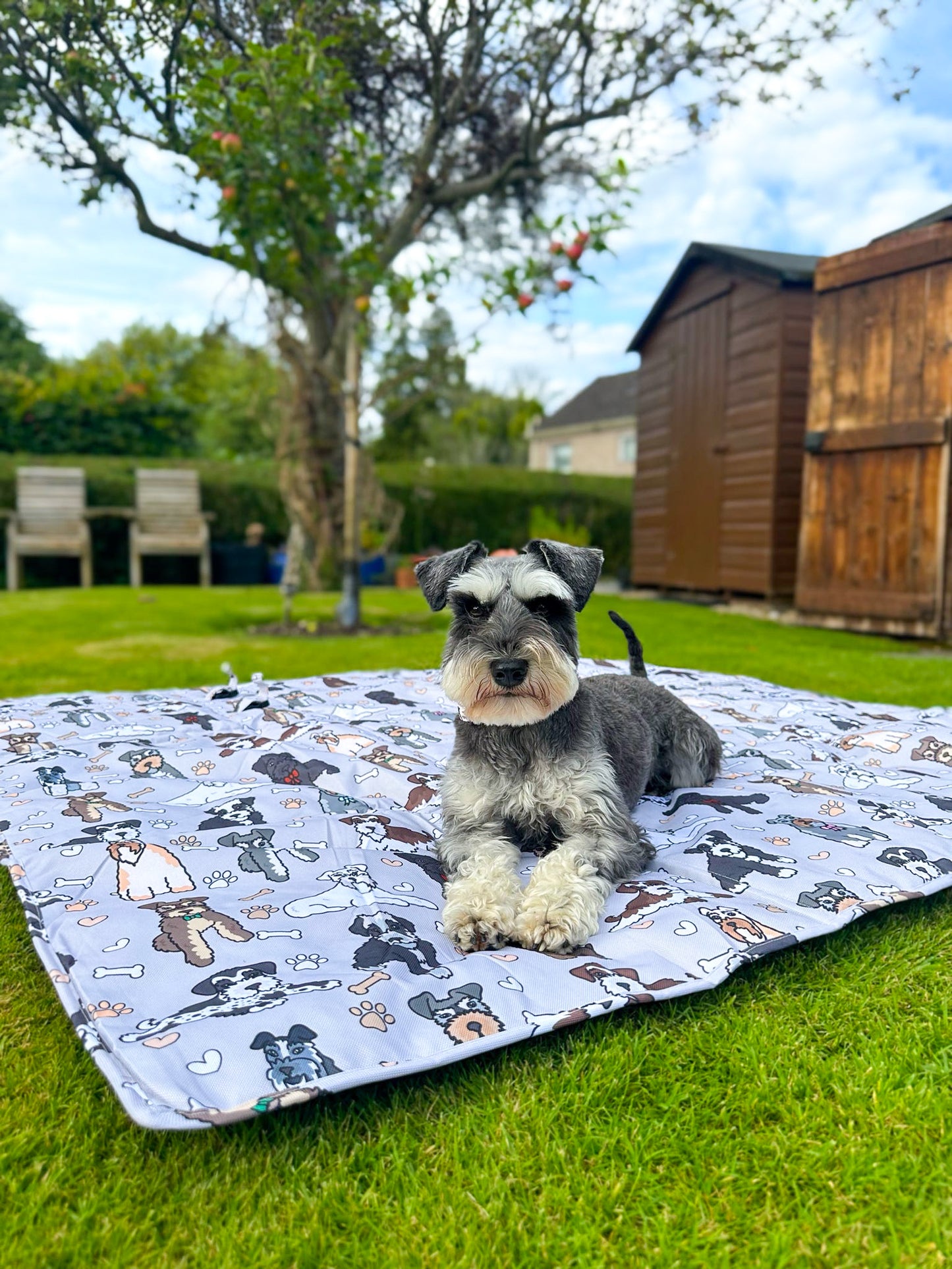 The Schnauzer Picnic Mat