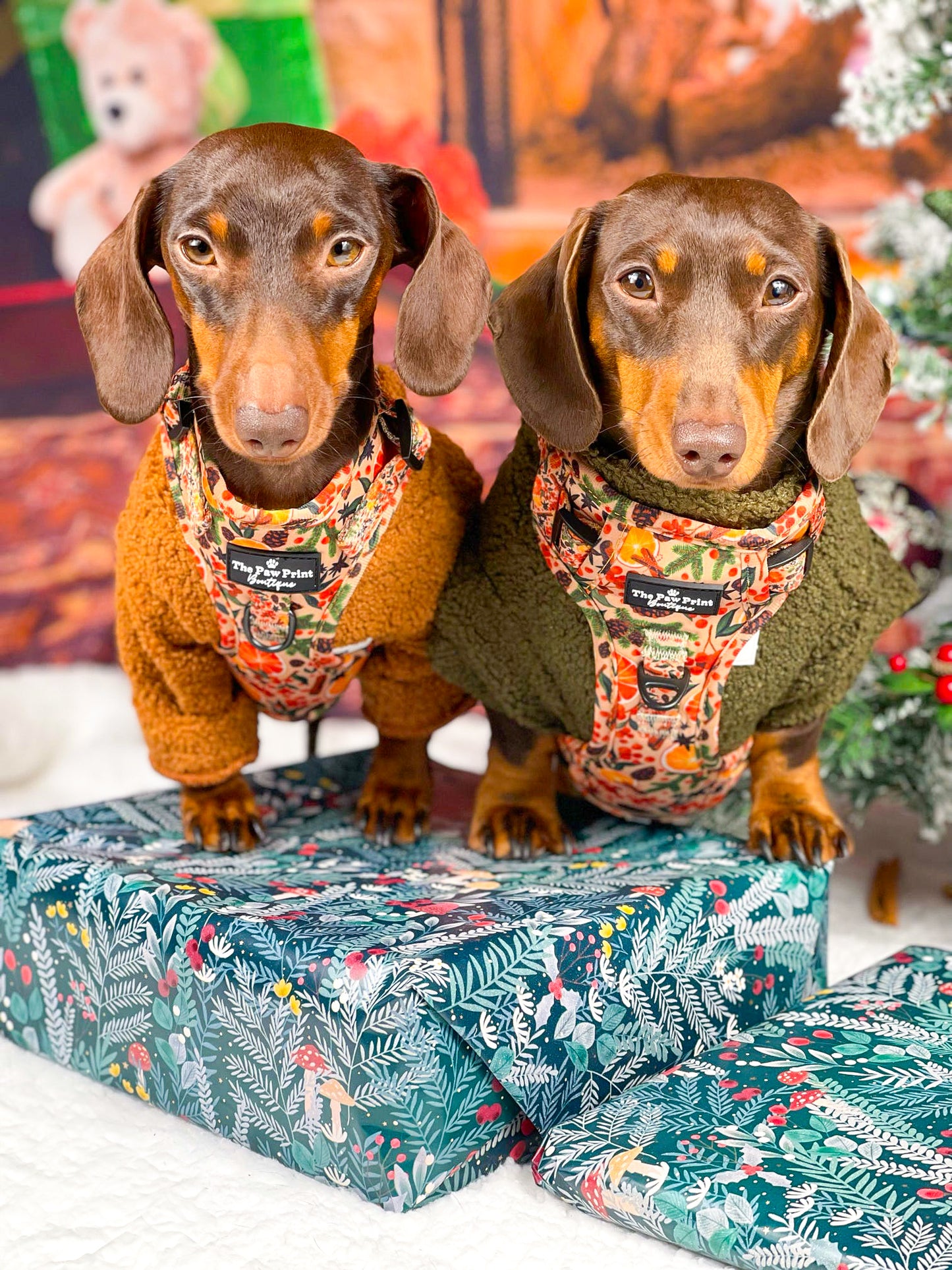 The Winter Scents Adjustable Harness