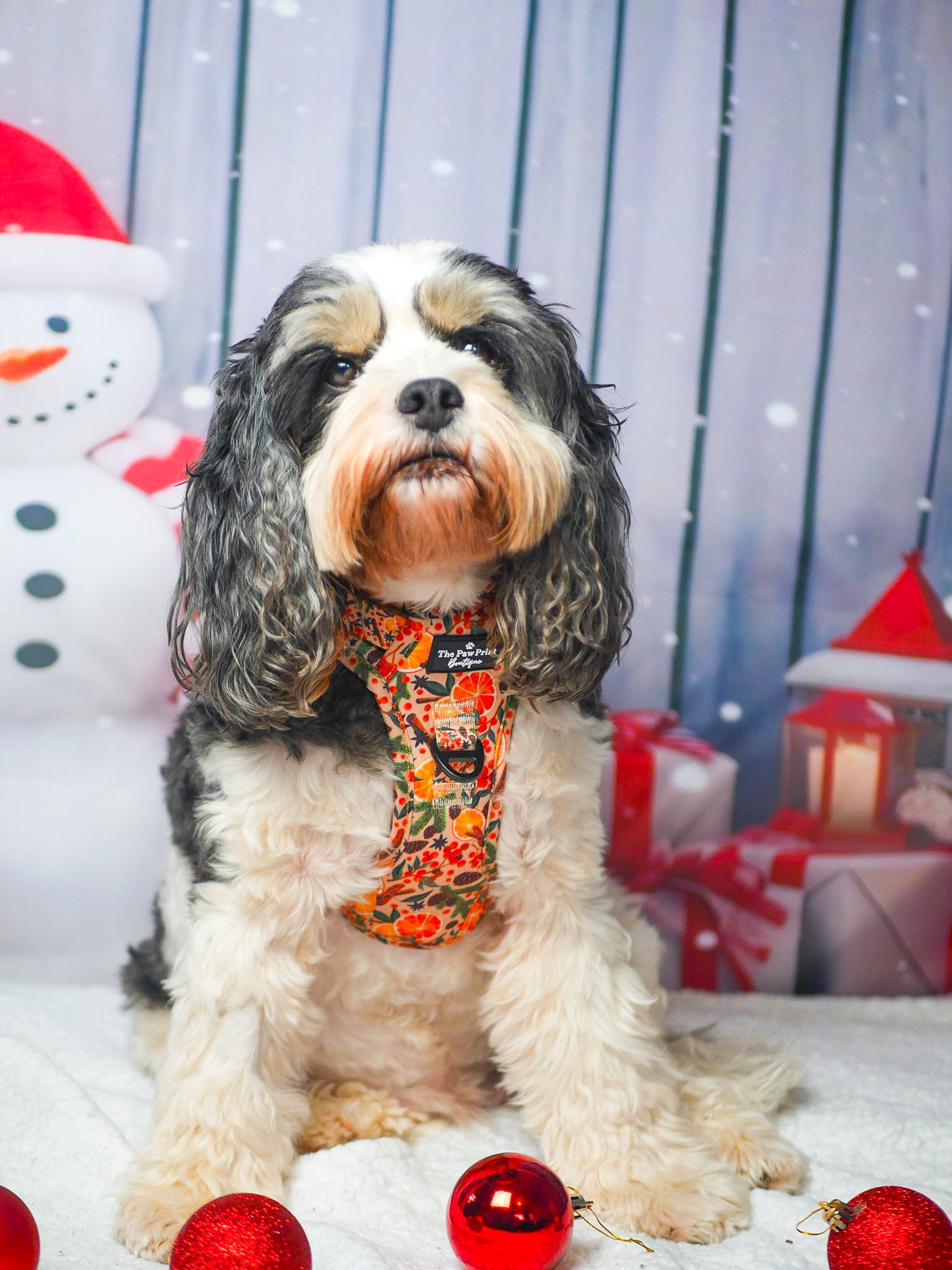 The Winter Scents Adventure Paws Harness