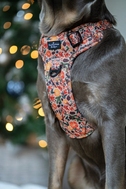 The Winter Scents Adventure Paws Harness