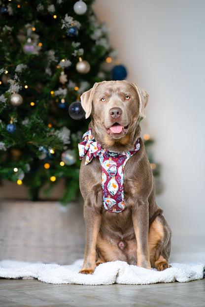 The Rockin' Robins Adventure Paws Harness