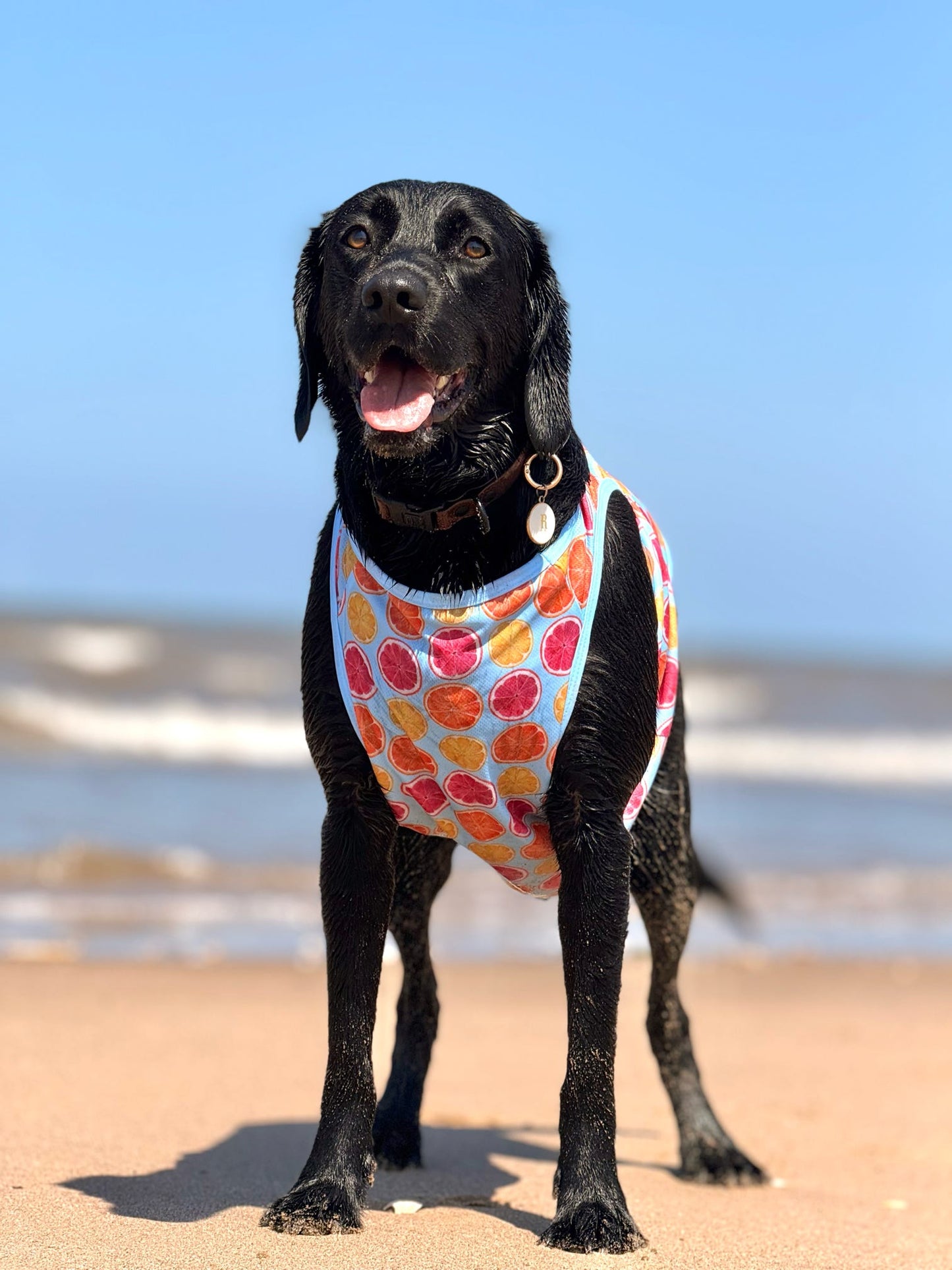 Squeeze the Day Cooling Vest