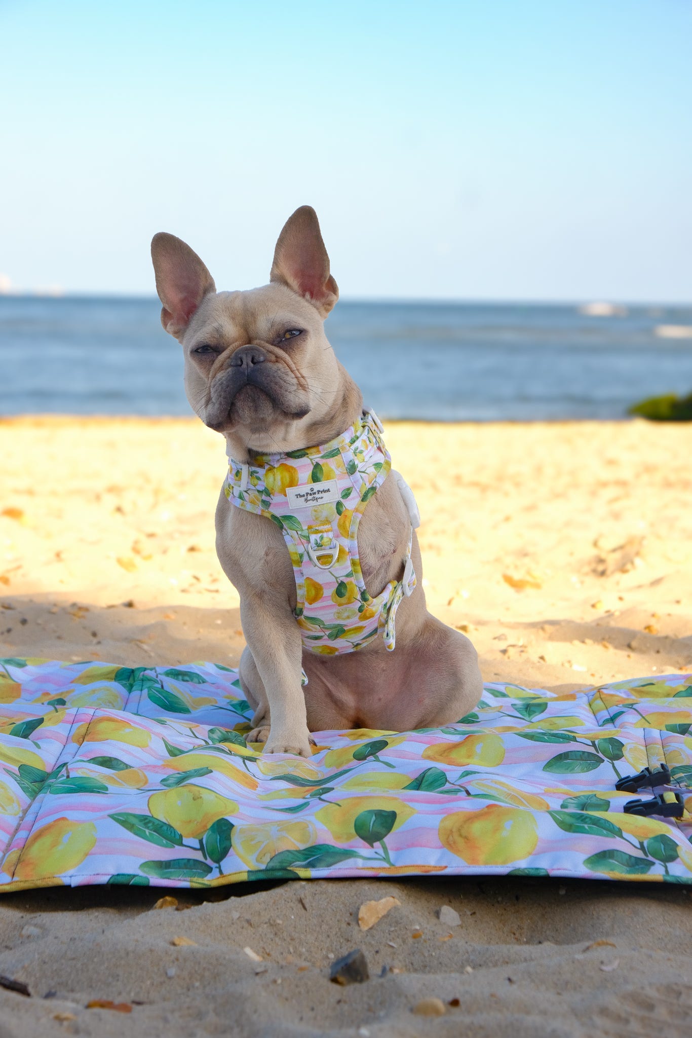 La Dolce Vita Picnic Mat