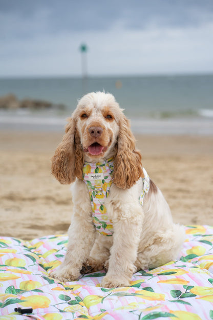 La Dolce Vita Picnic Mat