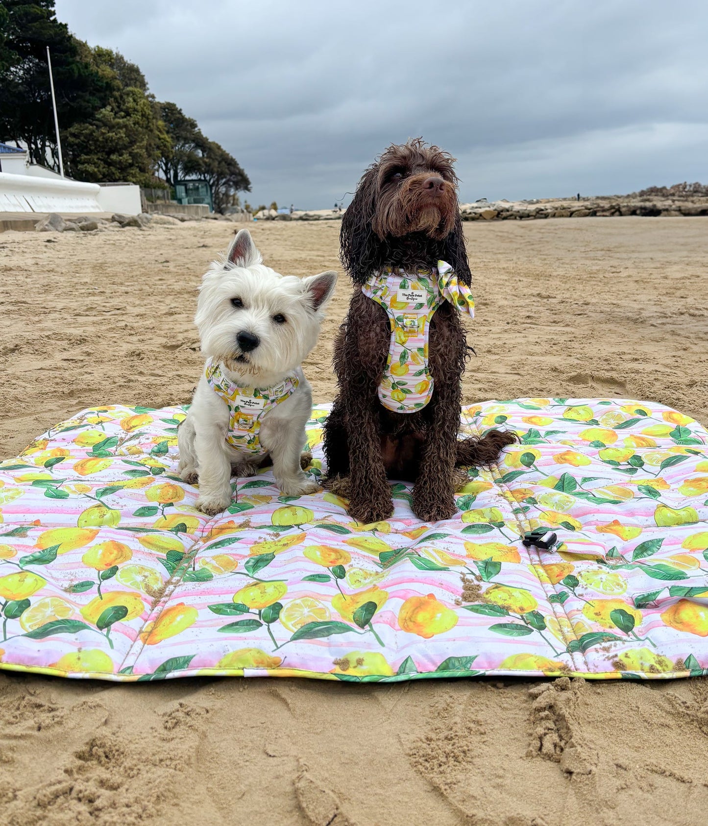 La Dolce Vita Picnic Mat