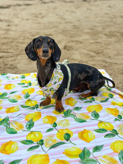 La Dolce Vita Adjustable Harness