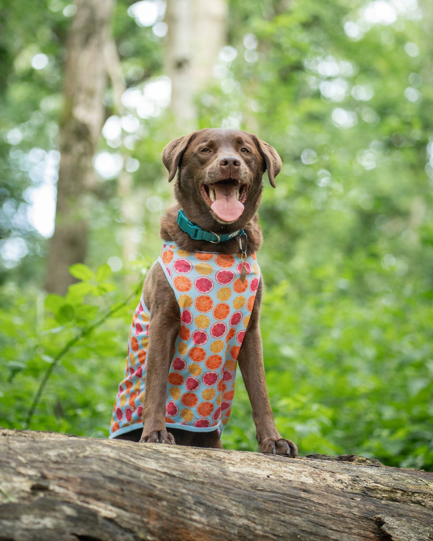 Squeeze the Day Cooling Vest