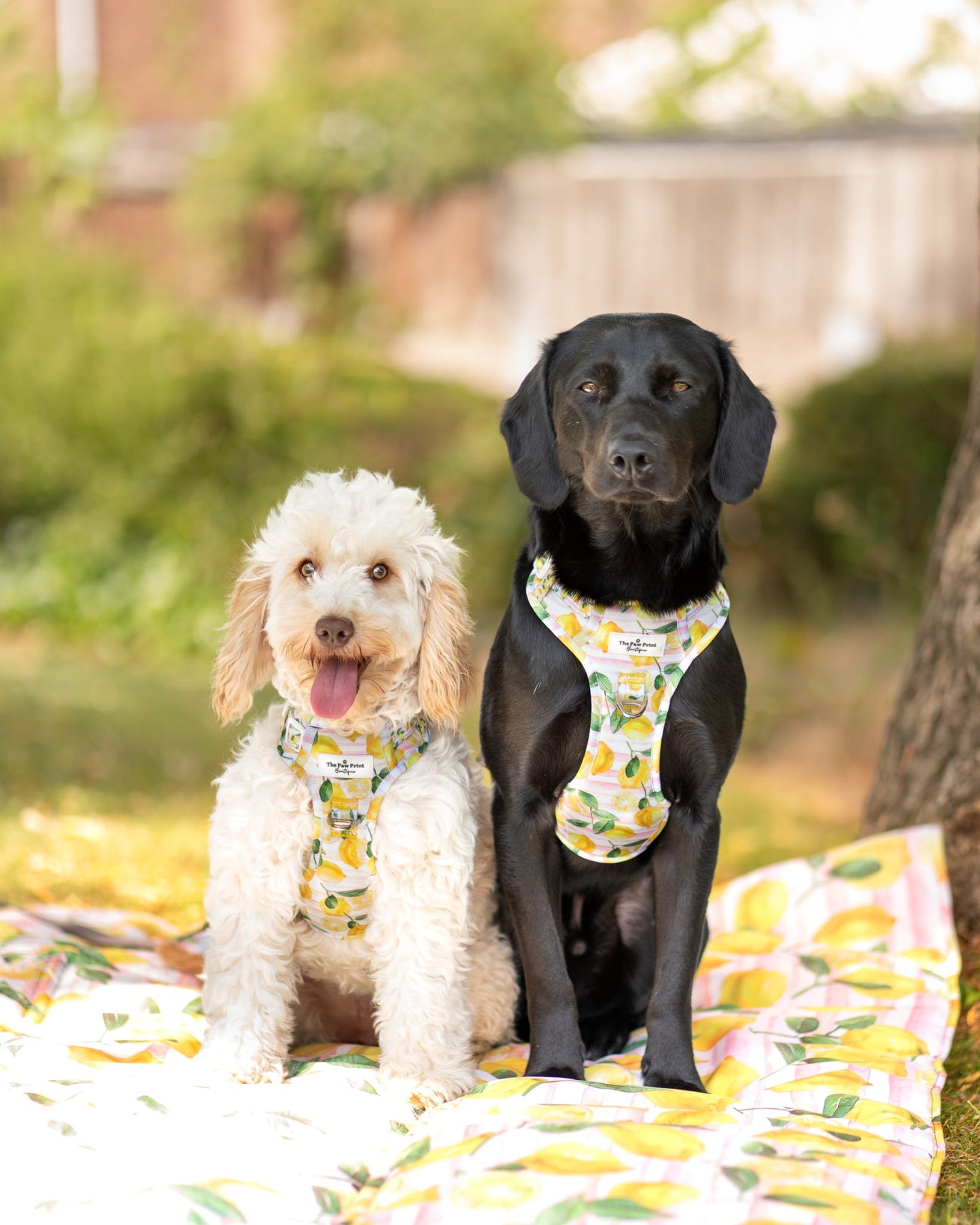 La Dolce Vita Picnic Mat