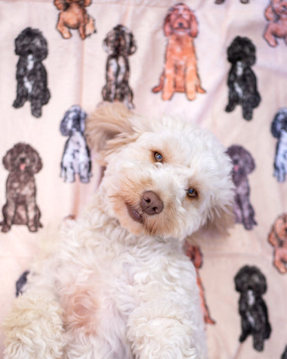 The Oodles & Doodles Dog Blanket