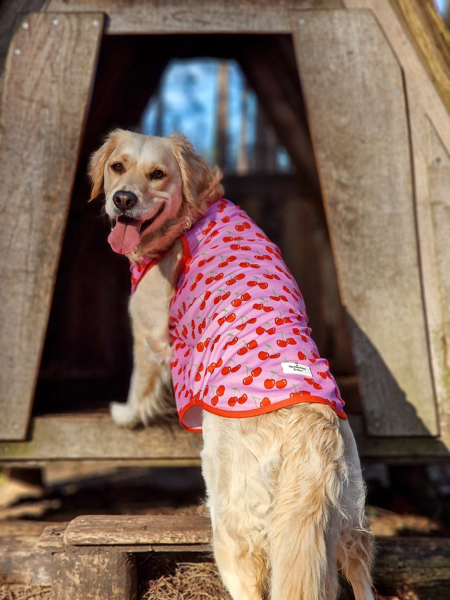 The Cherry on Top Cooling Vest