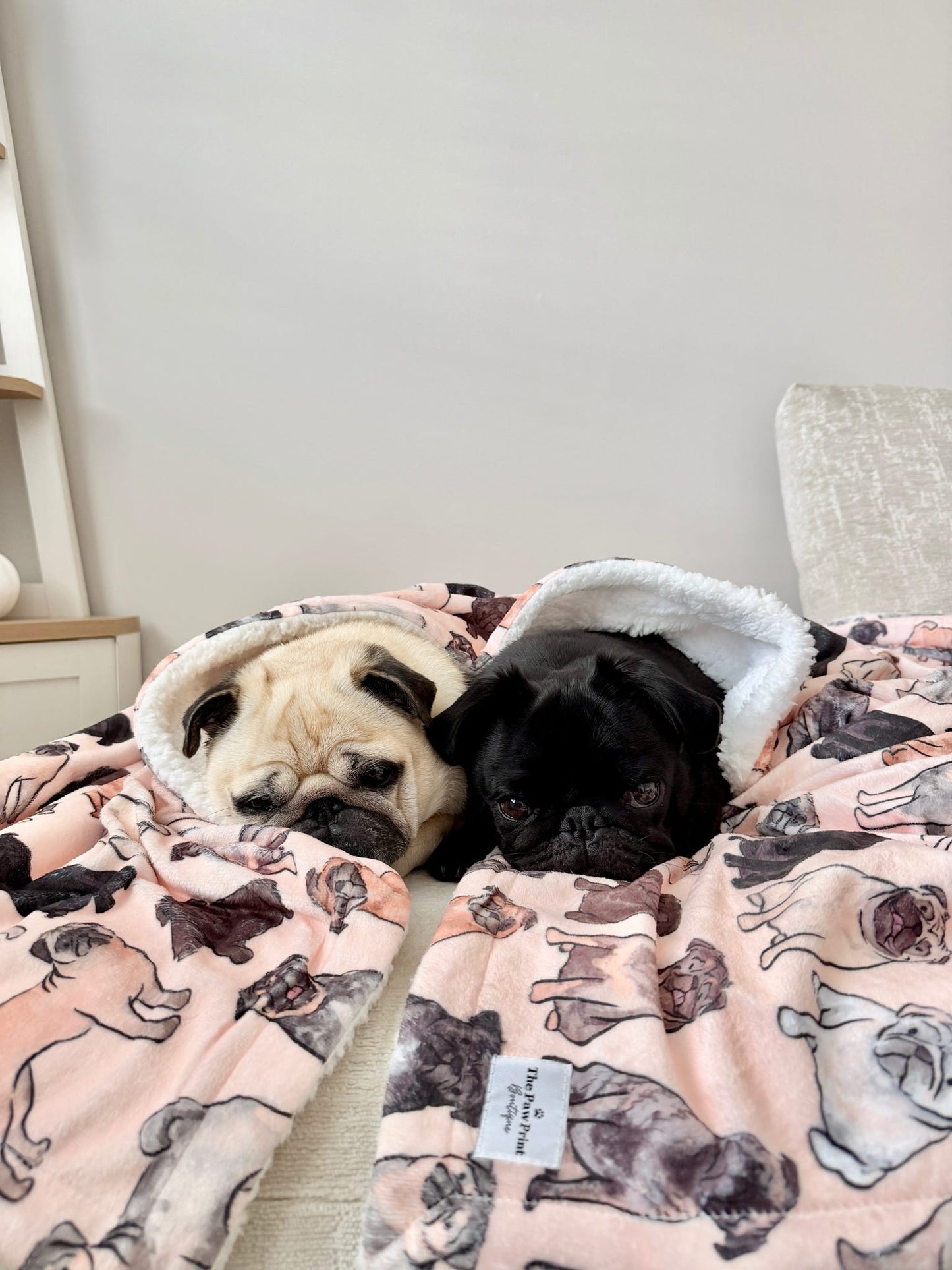 The Pug Human Blanket