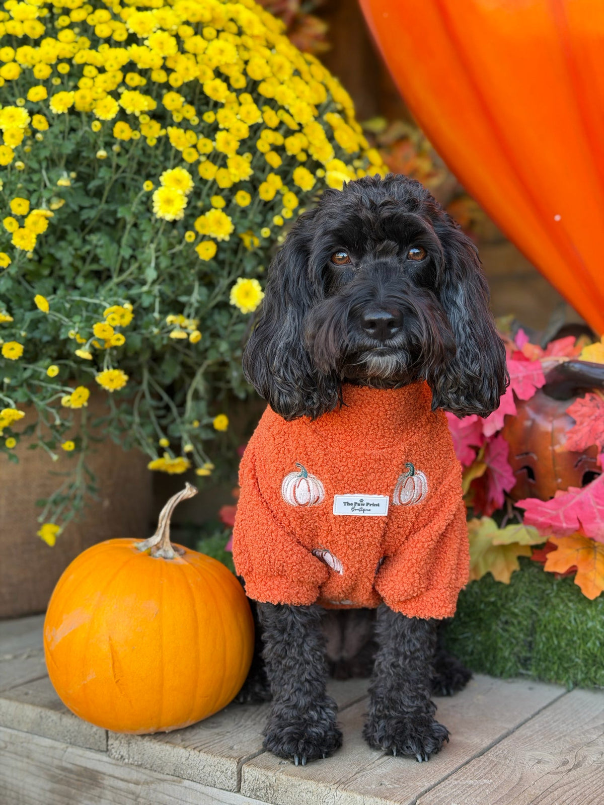 The Embroidered Pumpkins Teddy Fleece