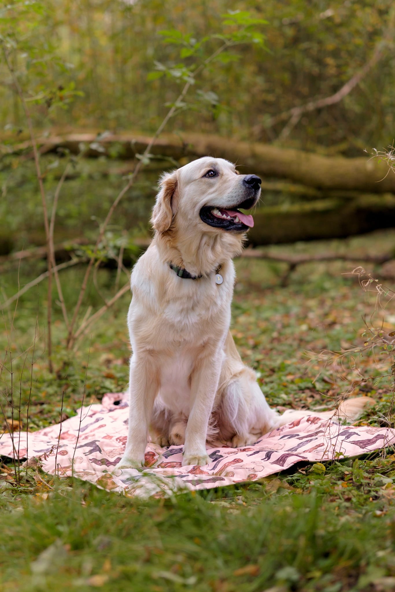 The Labrador / Retriever Travel Mat