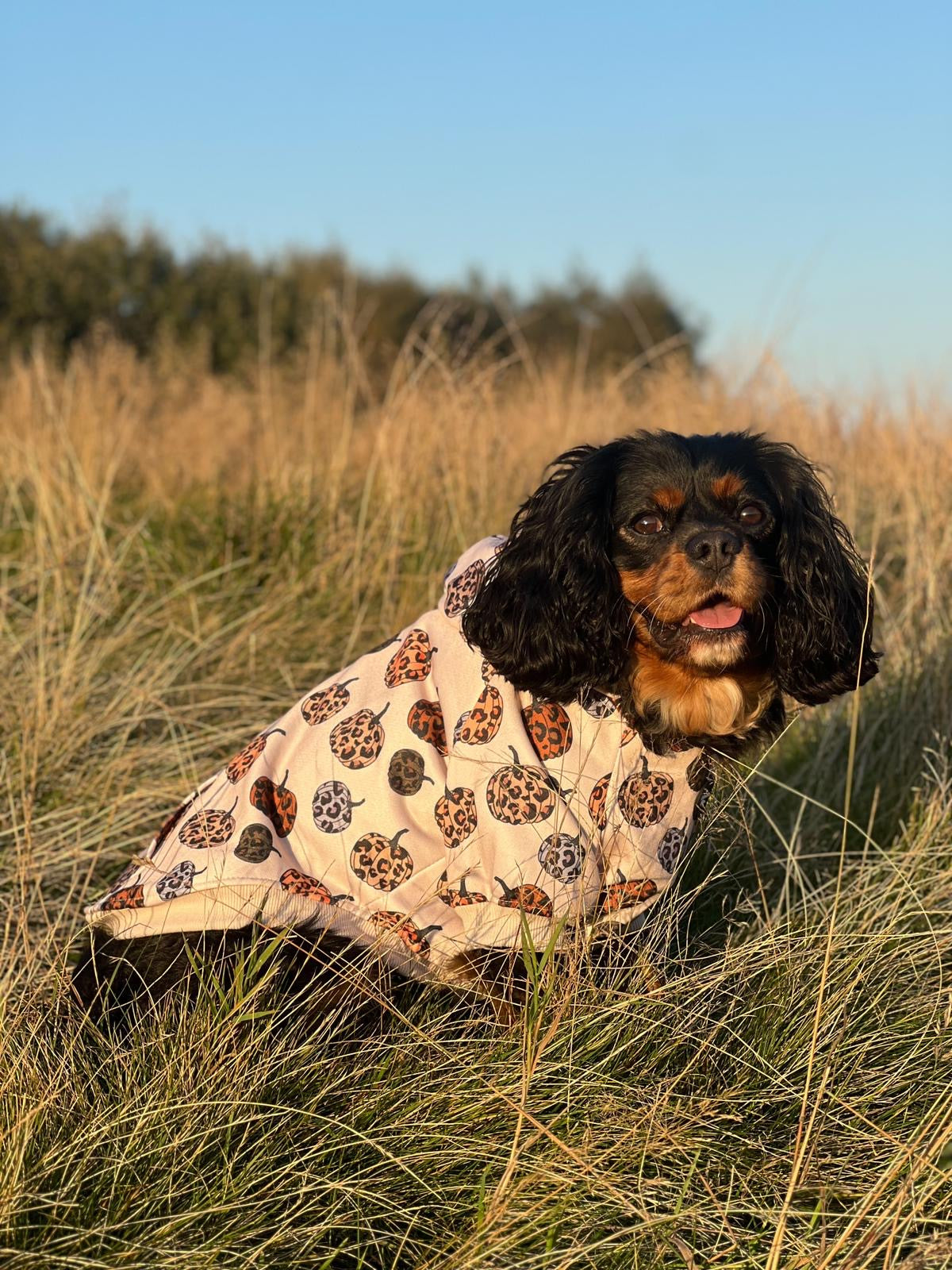 Leopawrd Pupkins Hoodie (All over Pumpkins)