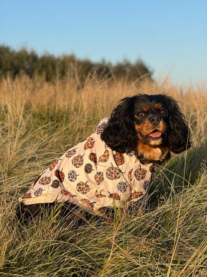 Leopawrd Pupkins Hoodie (All over Pumpkins)