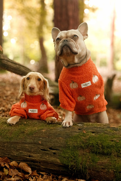 The Embroidered Pumpkins Teddy Fleece