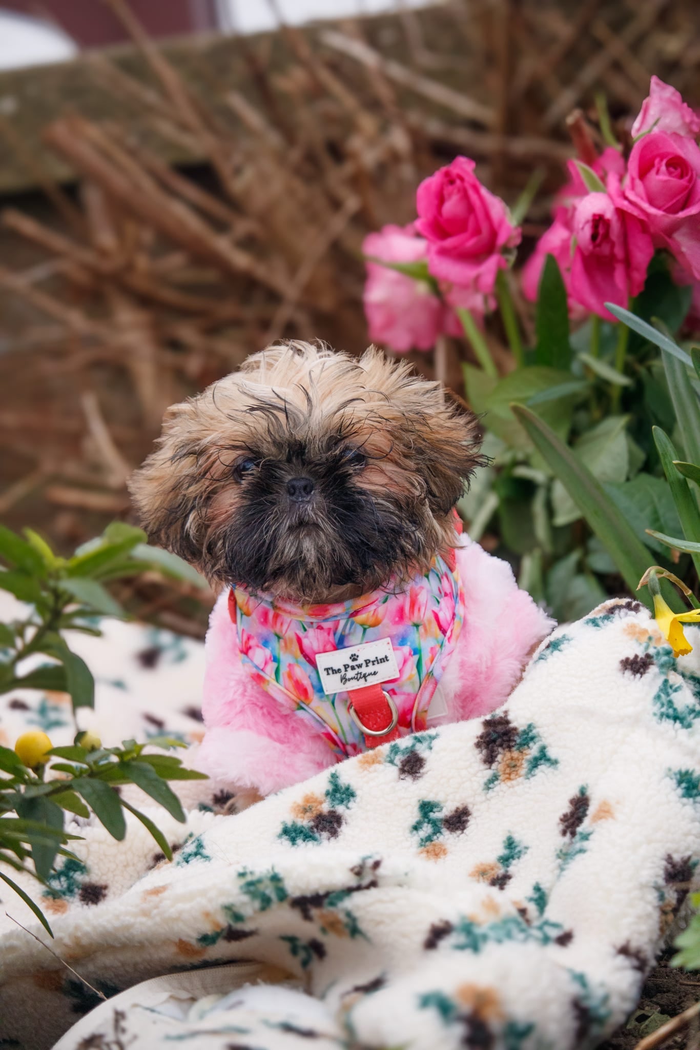 The Tulip Field Adjustable Harness