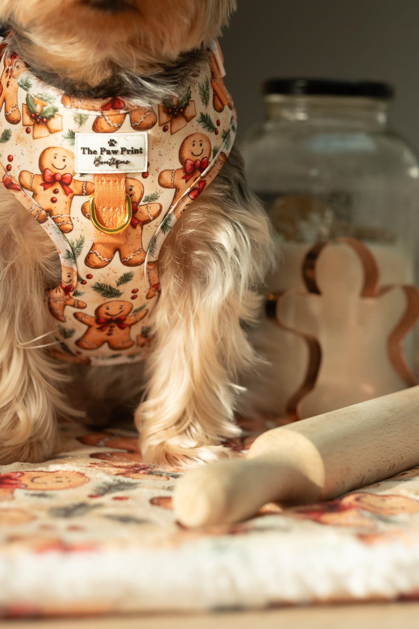 Gingerbread Grove Adjustable Harness