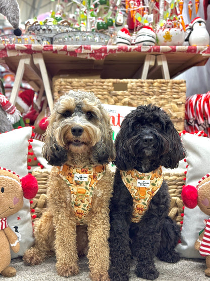 Gingerbread Grove Adventure Paws Harness