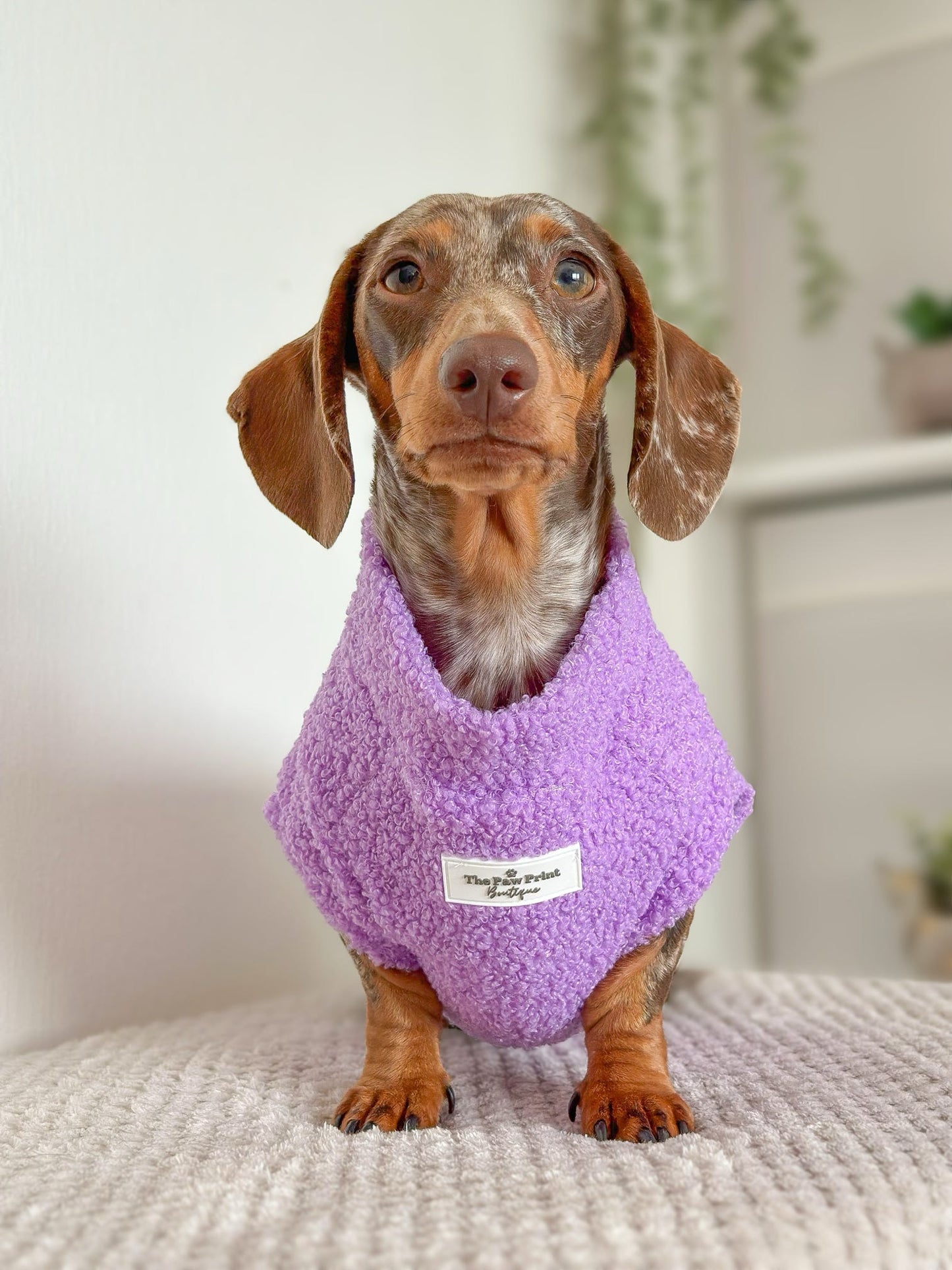Teddy Fleece - Lavender