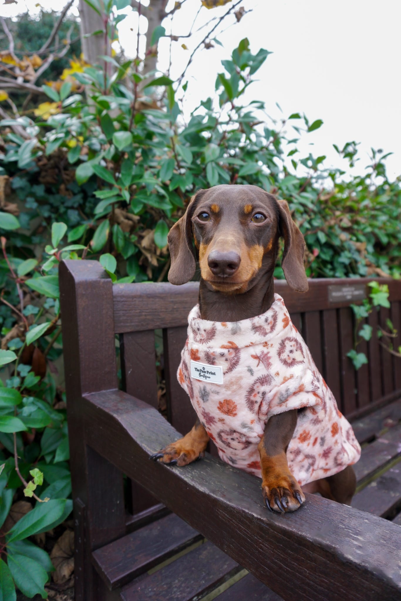 Spike the Hedgehog Snuggle Fleece
