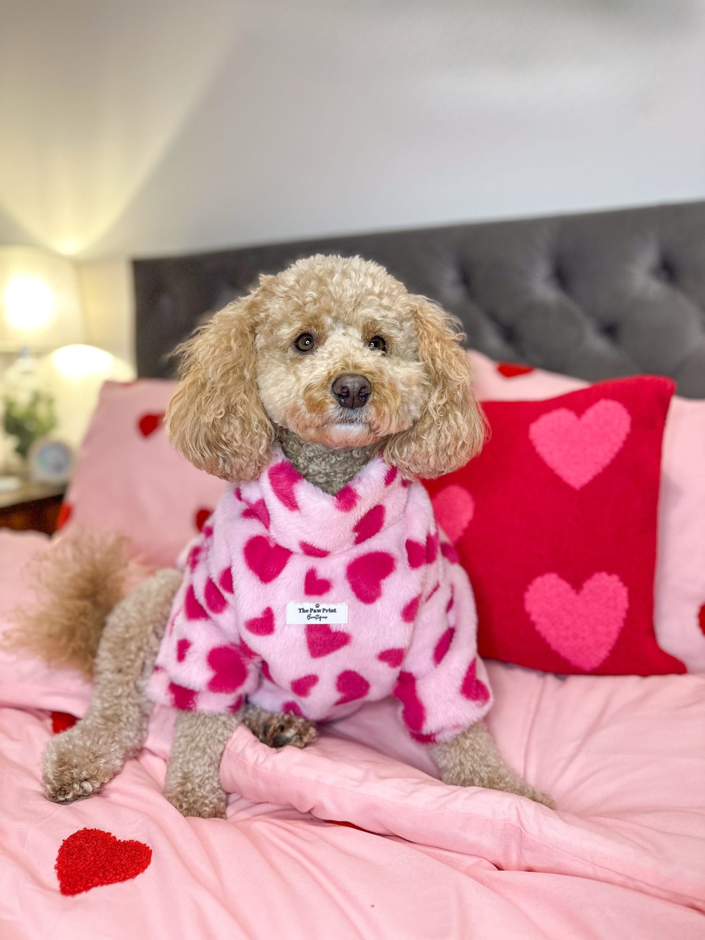 The Love Hearts Fluffy & Fabulous Fleece