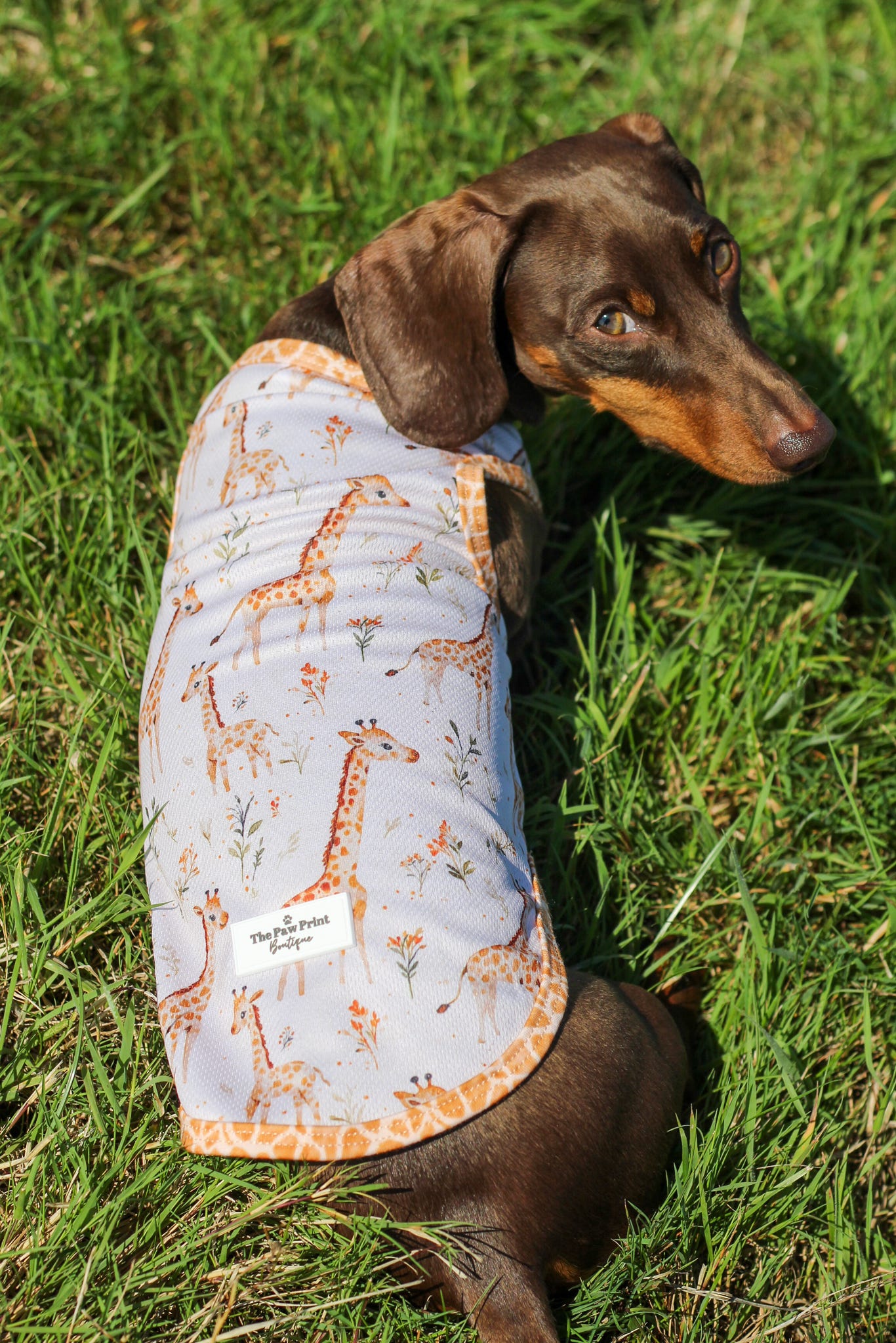 The Graceful Giraffe Cooling Vest