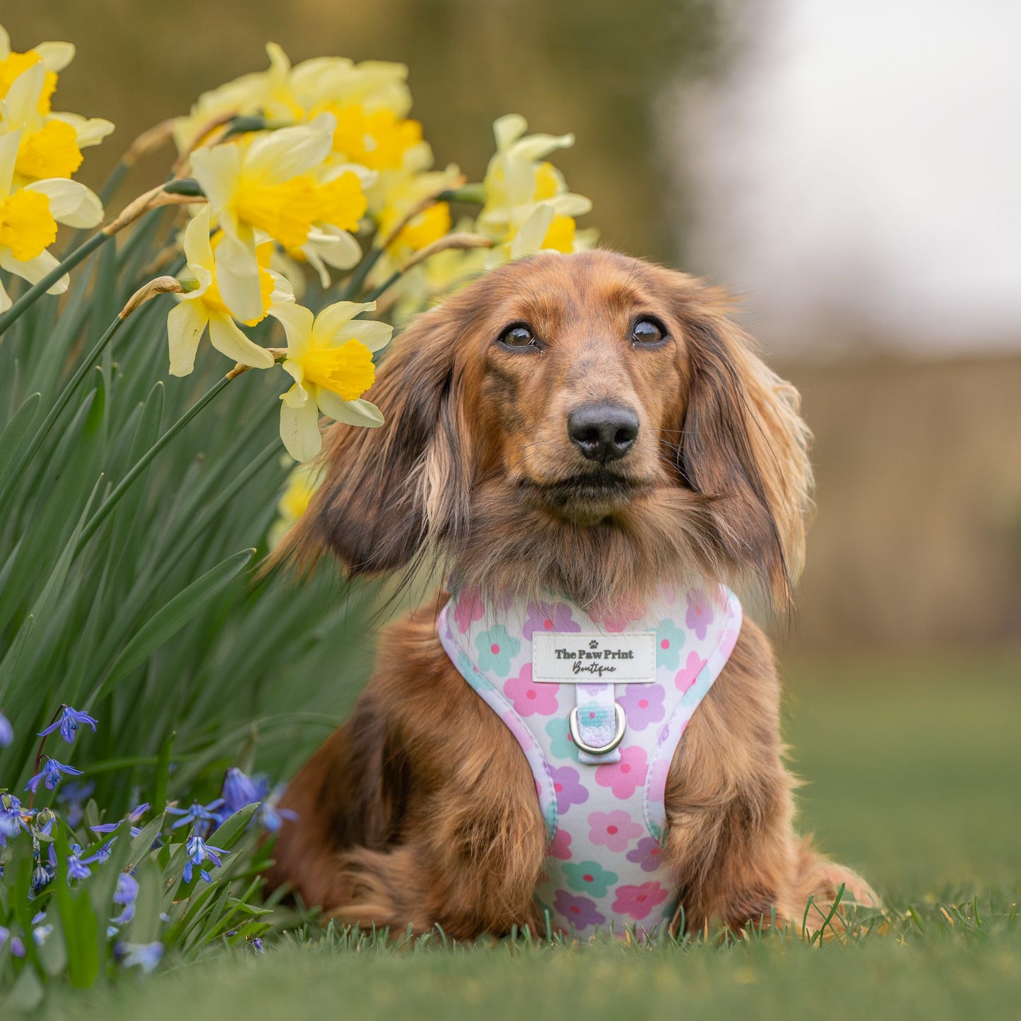 The Flower Power Adjustable Harness