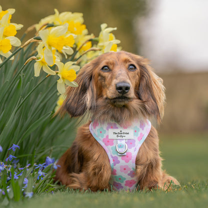 The Flower Power Adjustable Harness