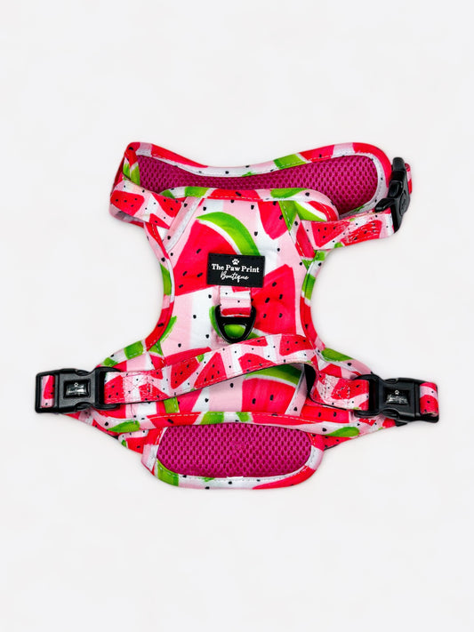 The Watermelon Sugar Adventure Paws Harness