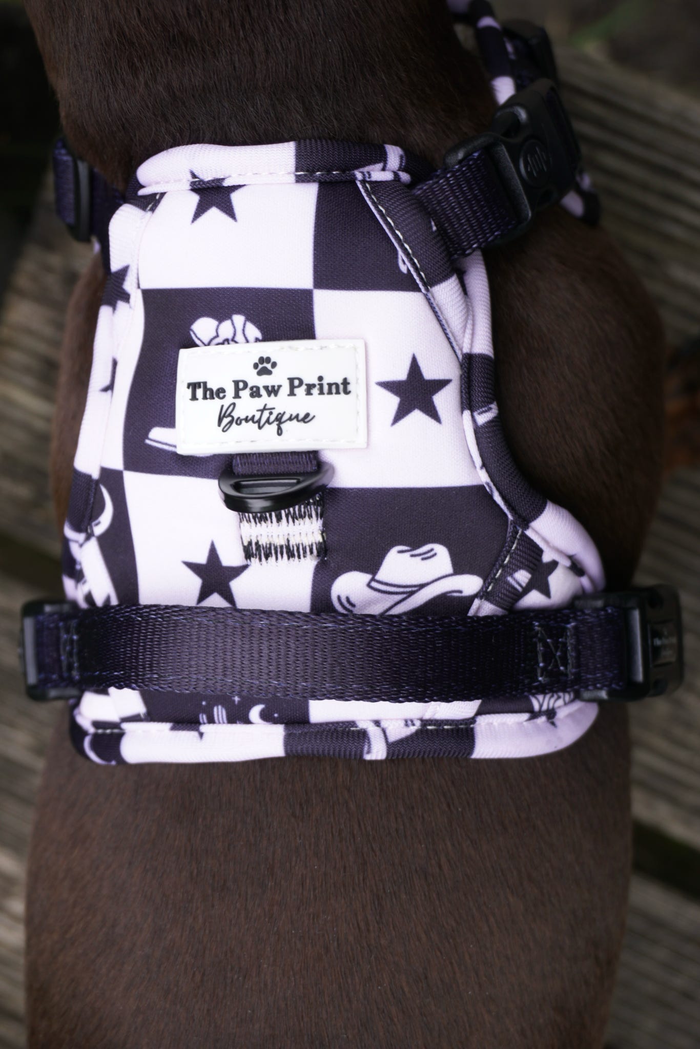 The Wild West Adventure Paws Harness