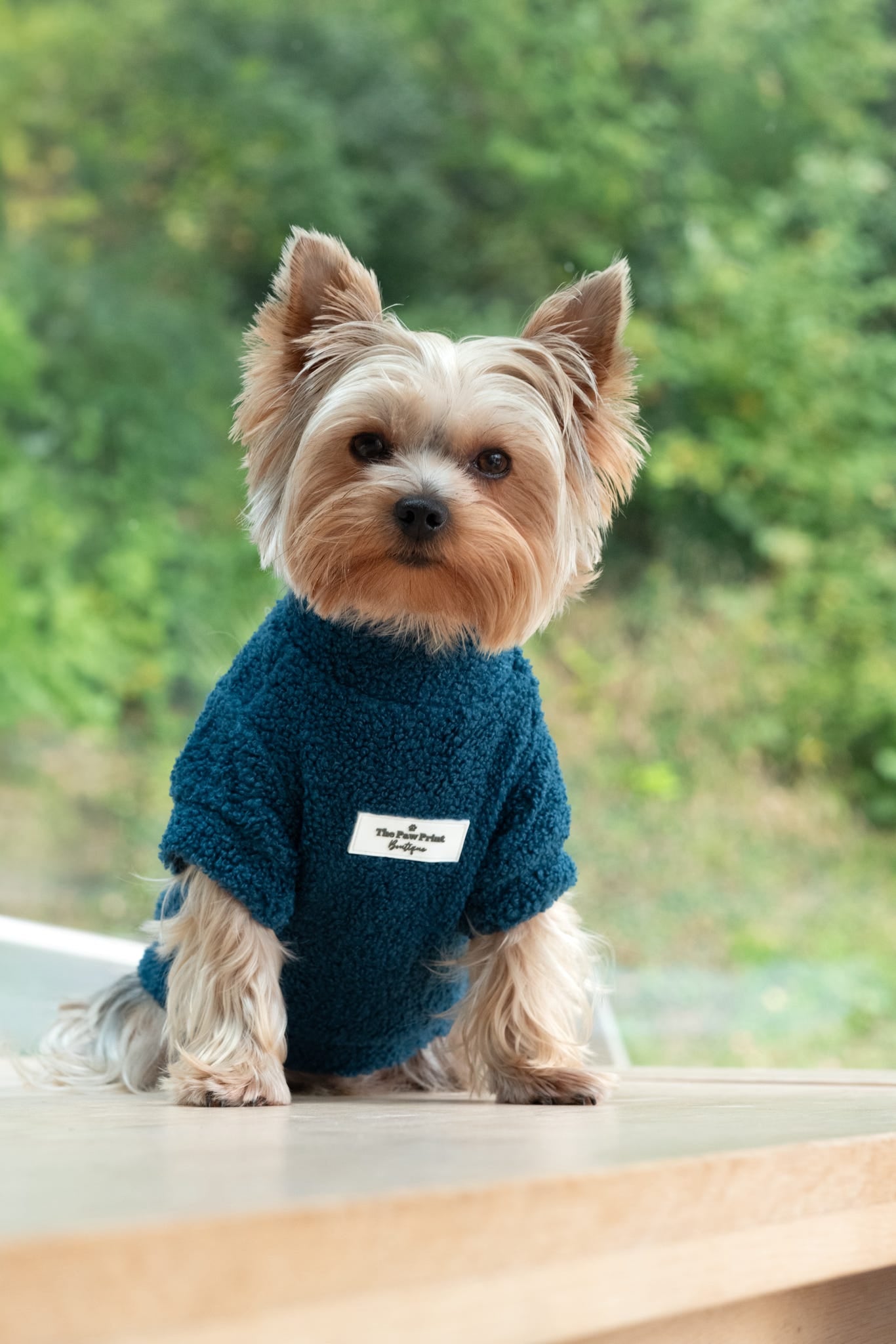 The Teal Teddy Fleece