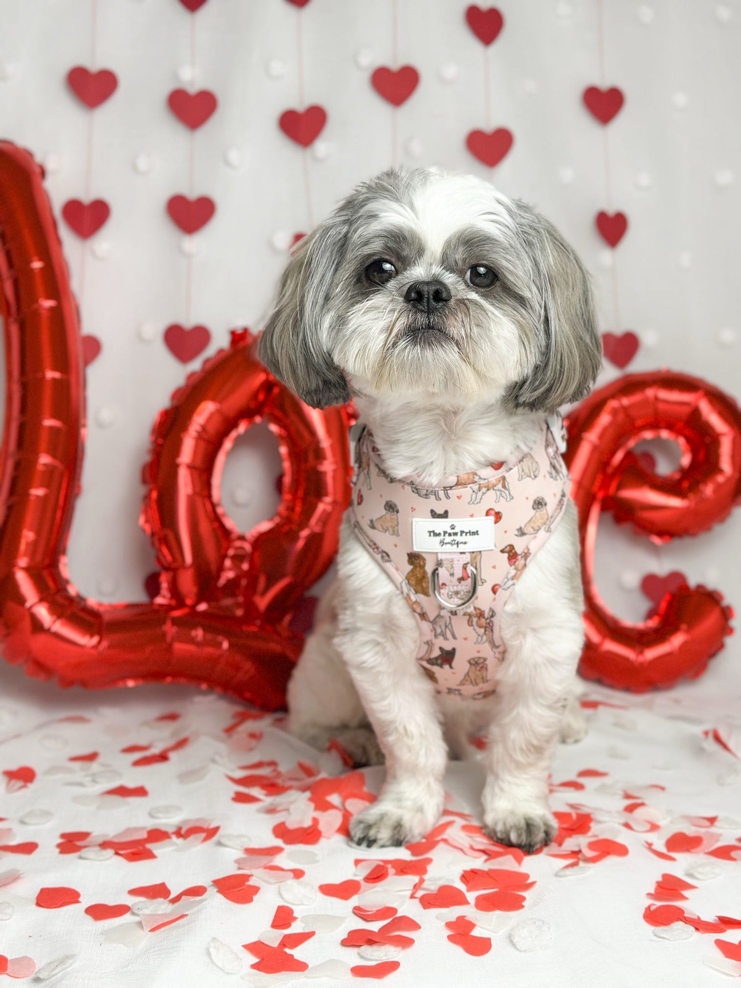 The Puppy Love Adjustable Harness