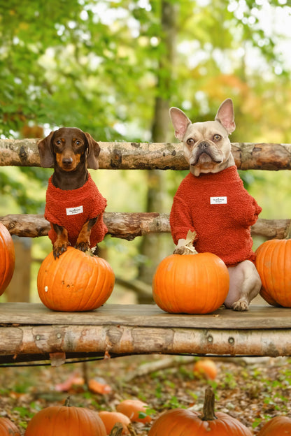 Teddy Fleece - Burnt Orange