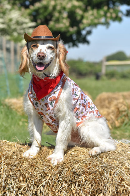 The Howdy Pawtner Cooling Vest