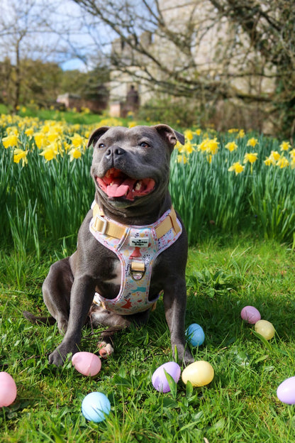 Hop into Bloom Adventure Paws Harness