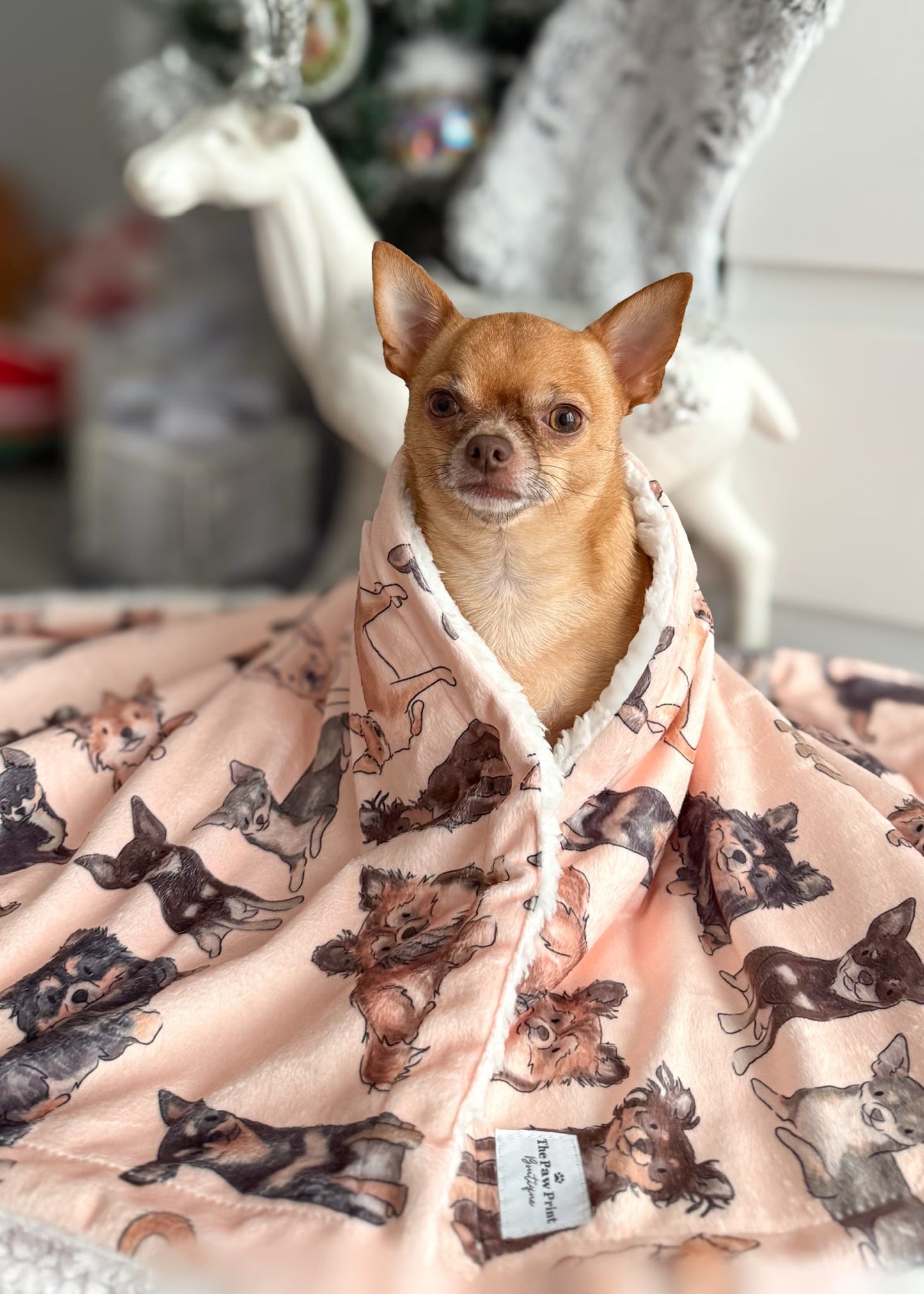 The Chihuahua Dog Blanket