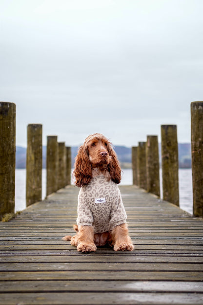 The Gold & Glittery Leopard Print Teddy Fleece