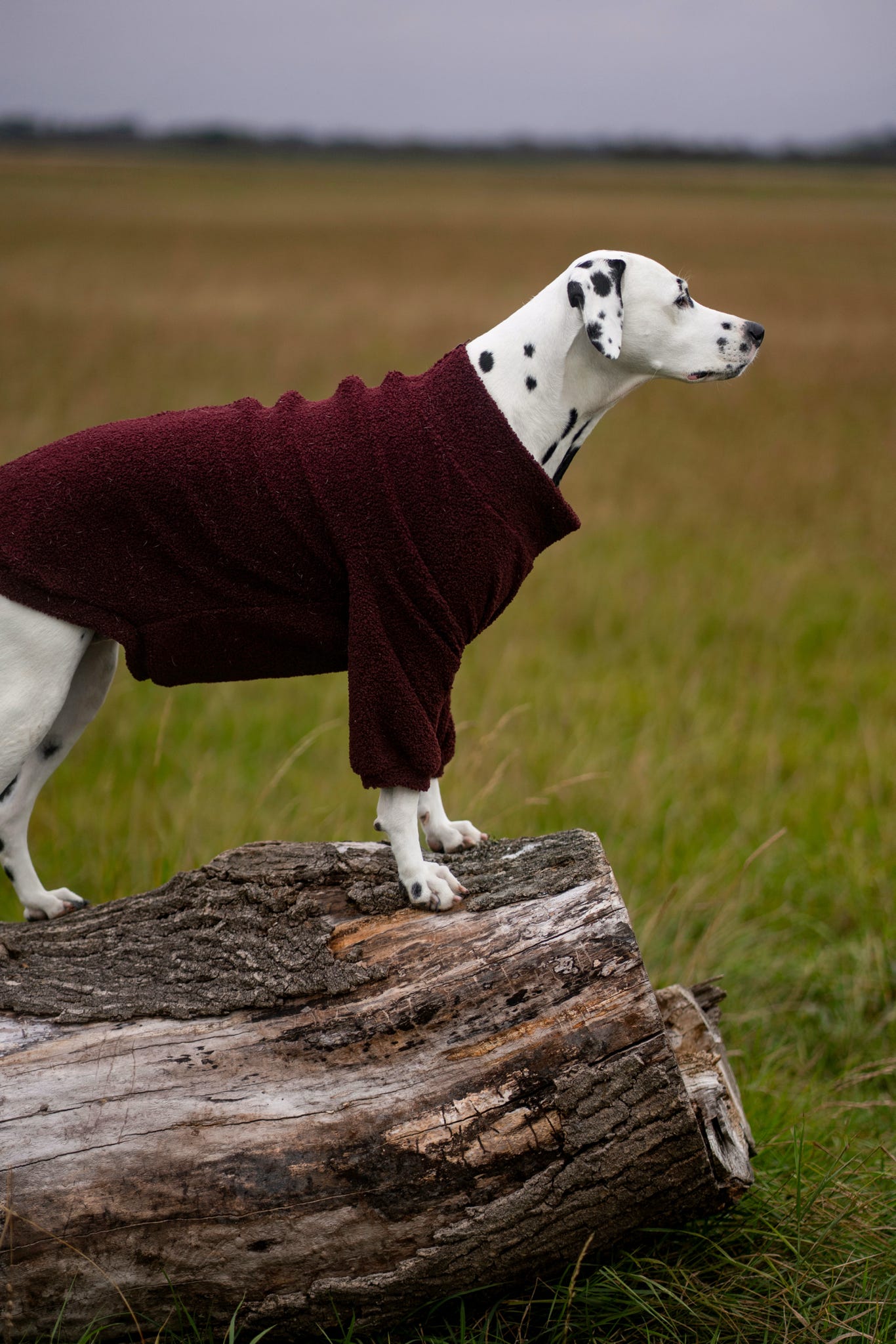 Teddy Fleece - Cherry