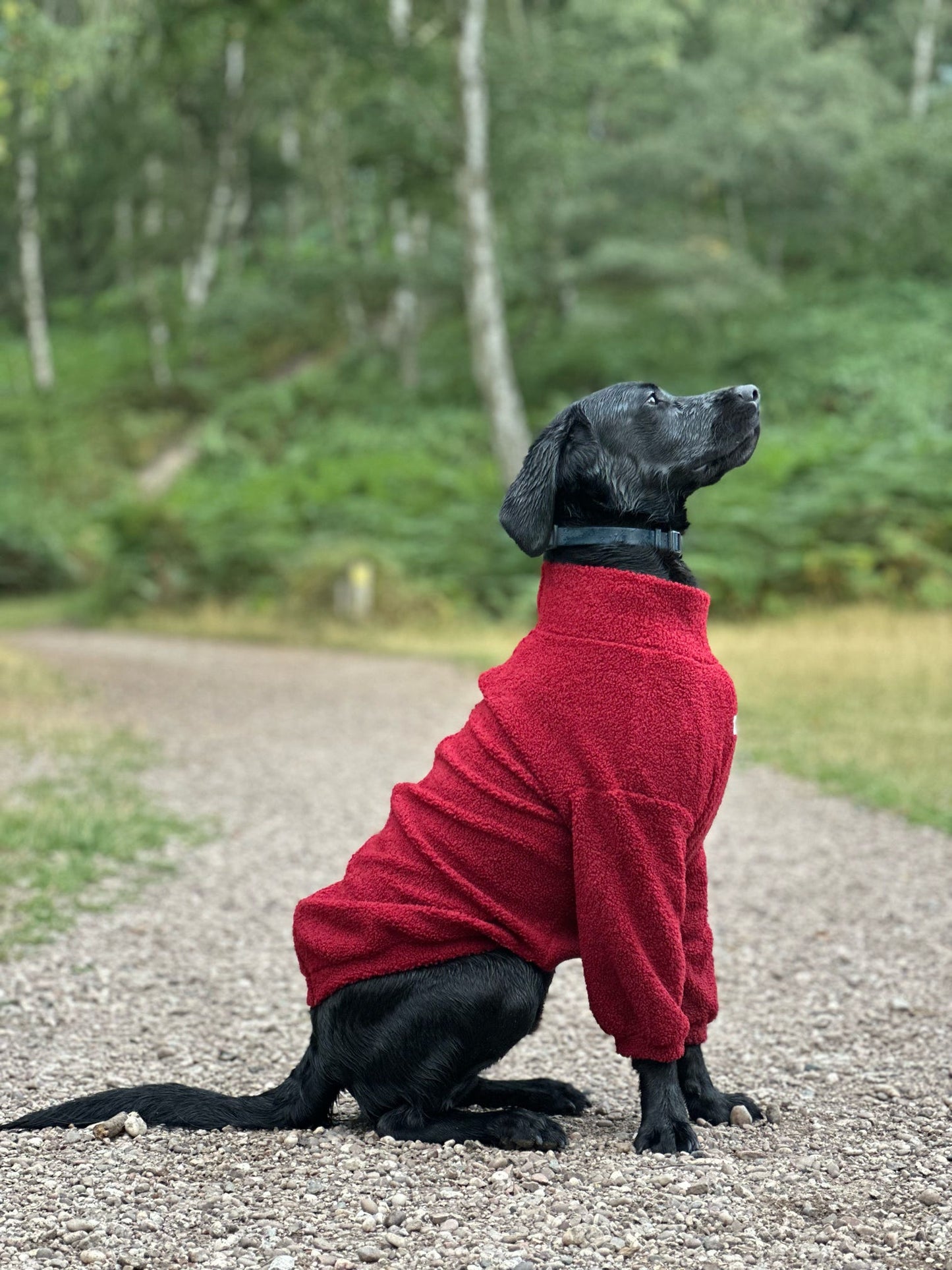 The Mulberry Teddy Fleece