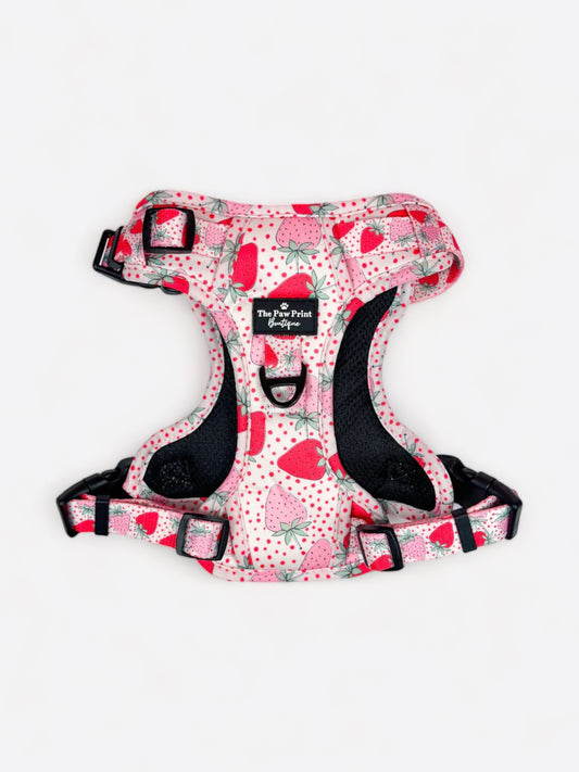 The Sweet Strawberries Adventure Paws Harness