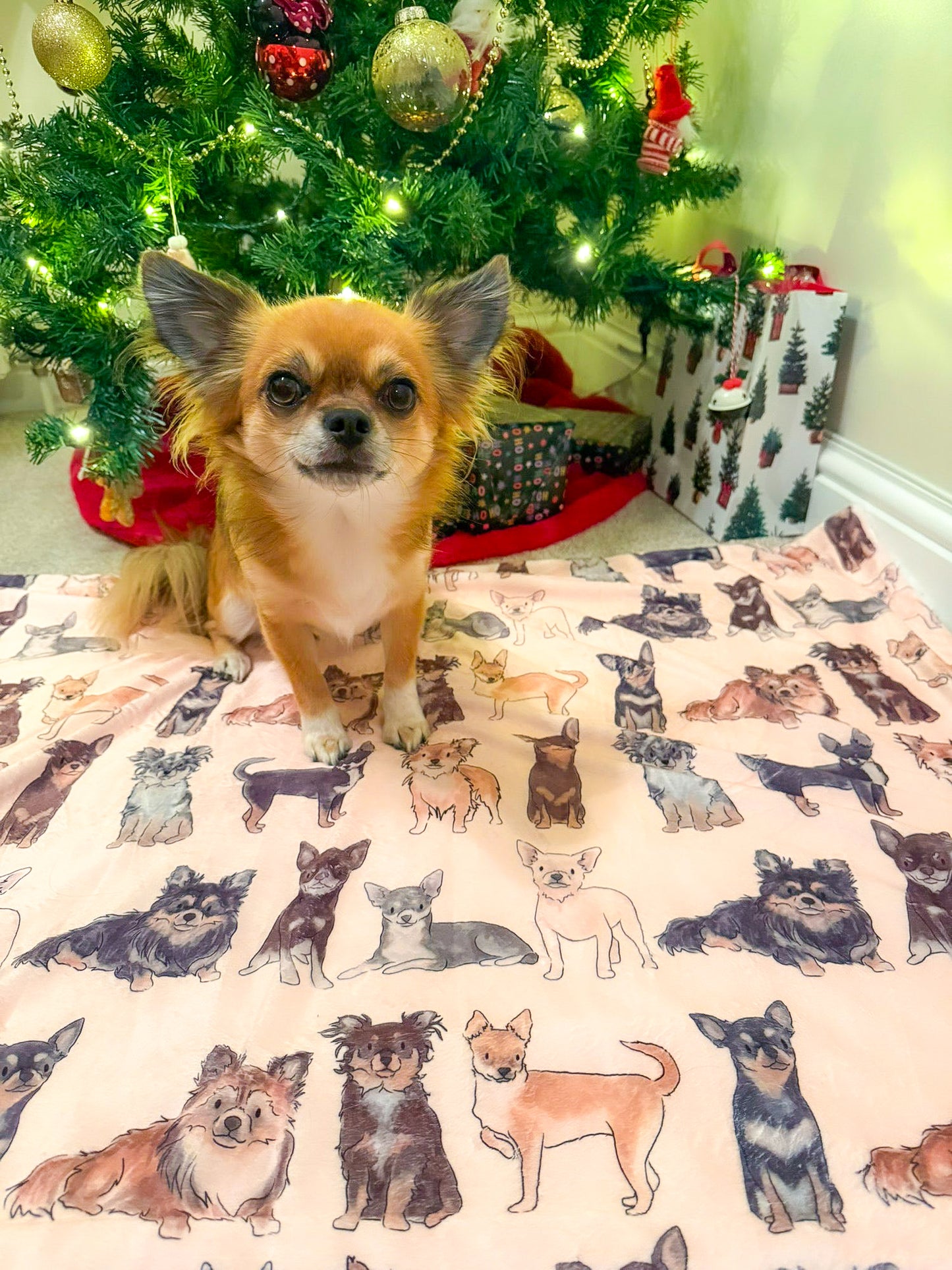 The Chihuahua Dog Blanket