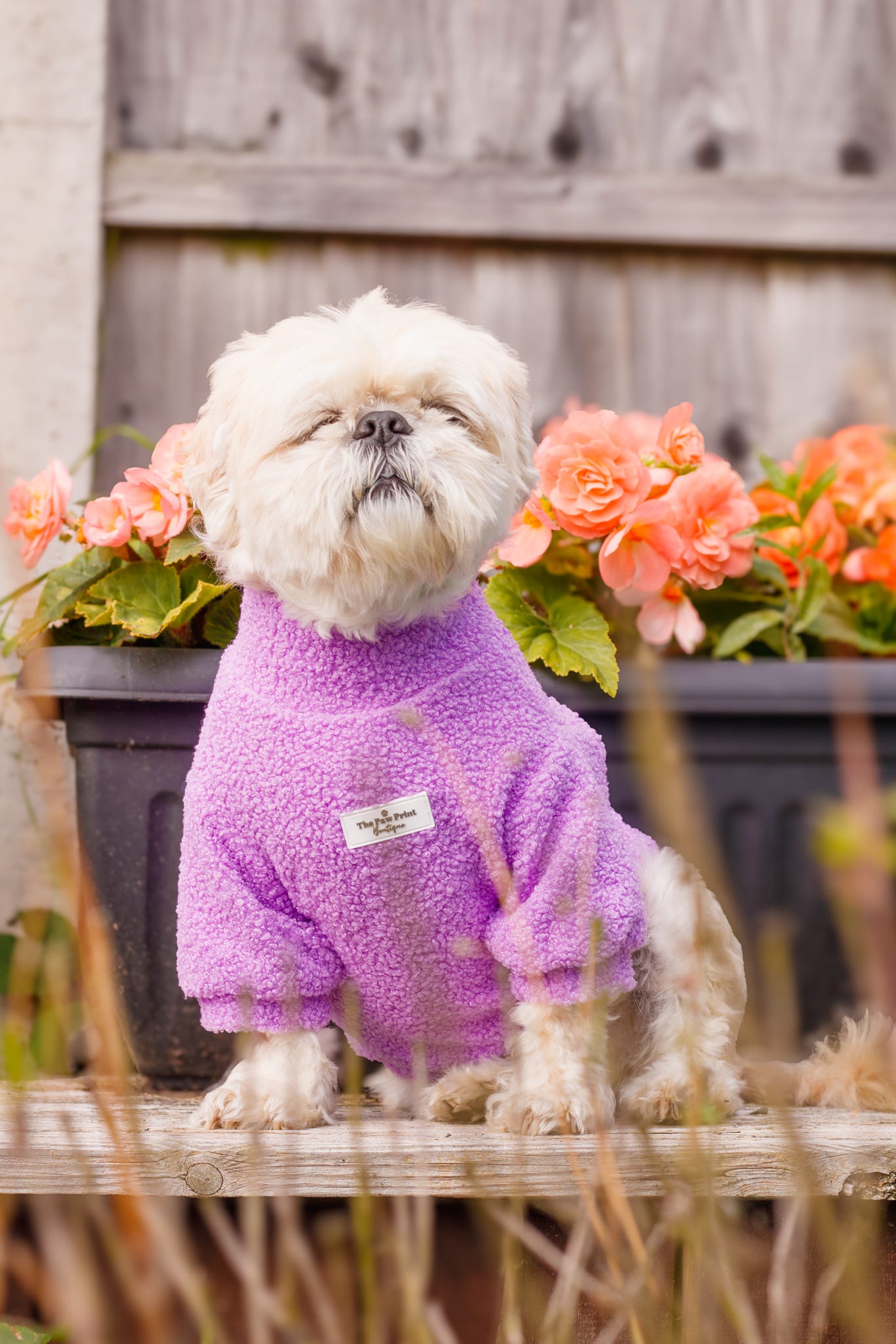 Teddy Fleece - Lavender