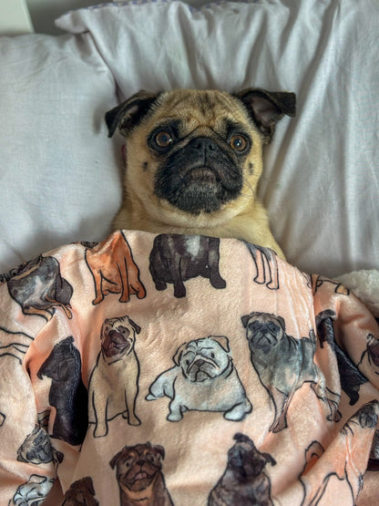 The Pug Dog Blanket